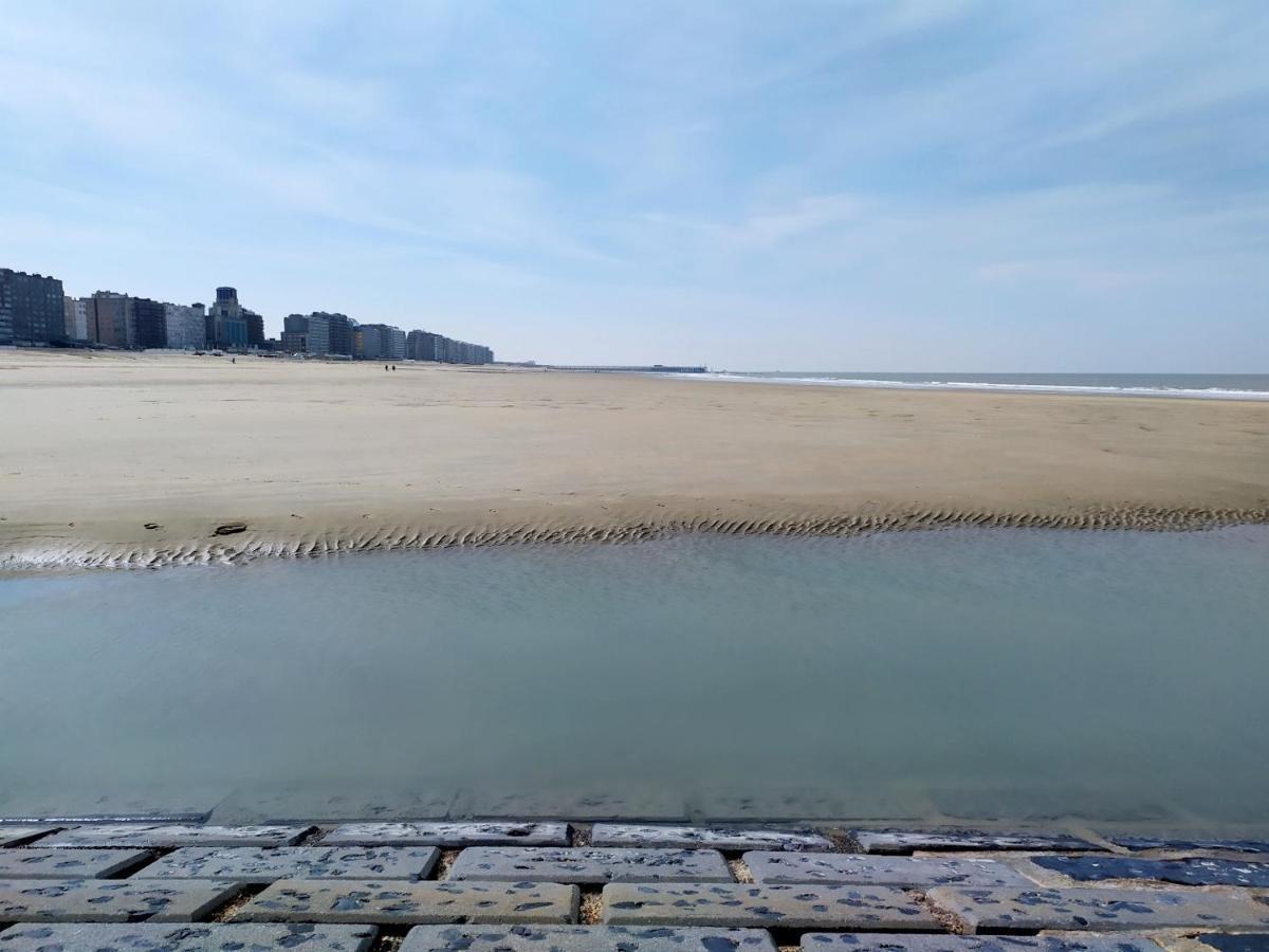 Appartement Douze Mer Blankenberge Dış mekan fotoğraf